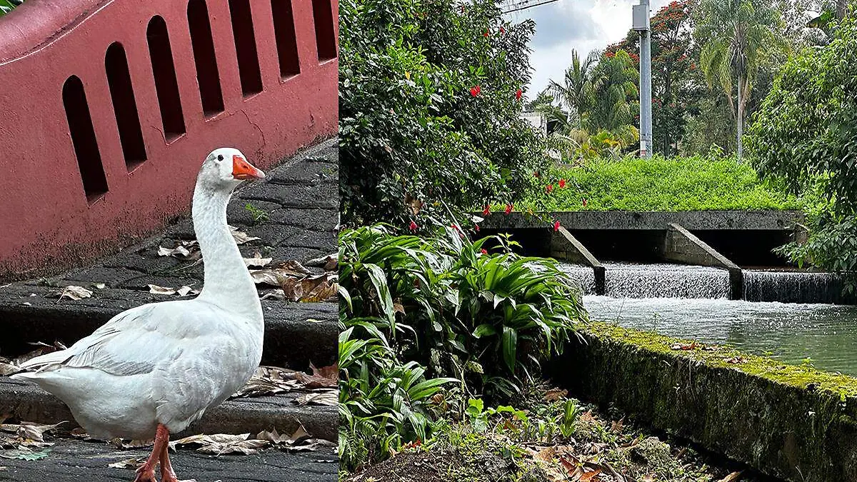 Parque de la señoría